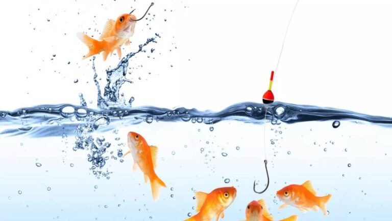 Phishing: ¿qué es, cómo funciona y cómo proteger a los trabajadores?